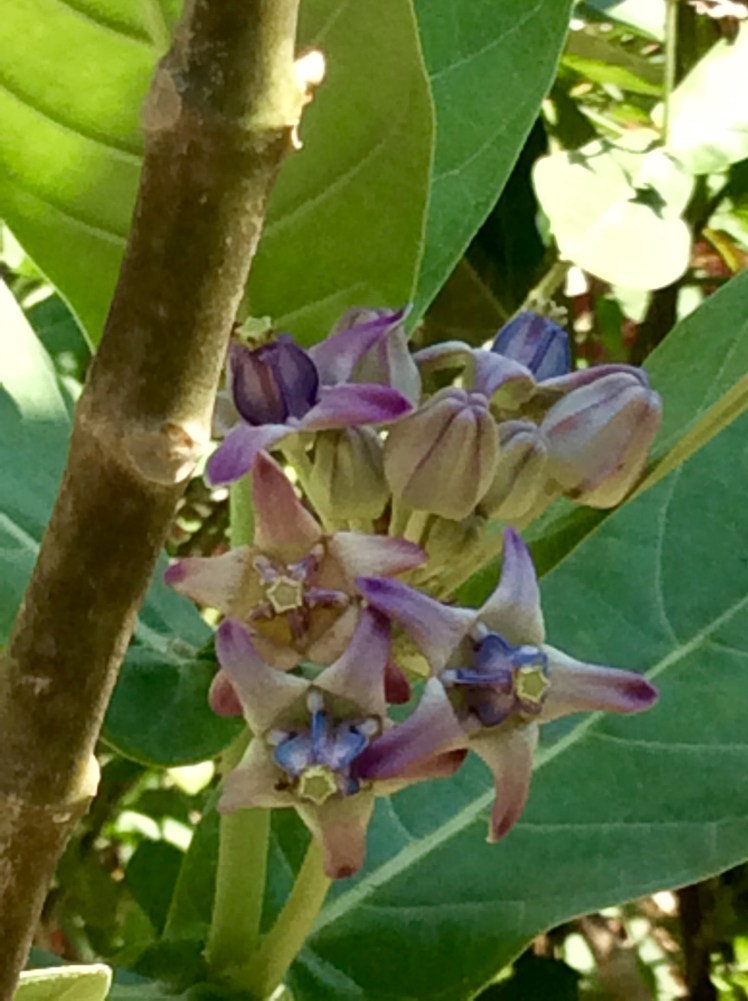 40081909-1AC7-4251-A0AE-B56F20101352